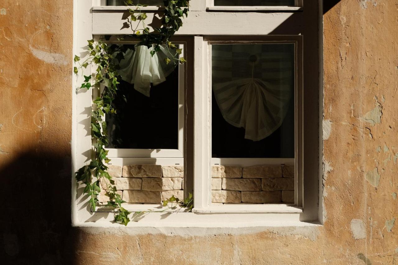 Cozee Studio - In Inima Brasovului Buitenkant foto