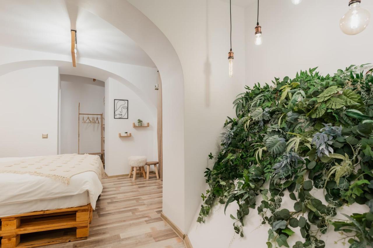 Cozee Studio - In Inima Brasovului Buitenkant foto