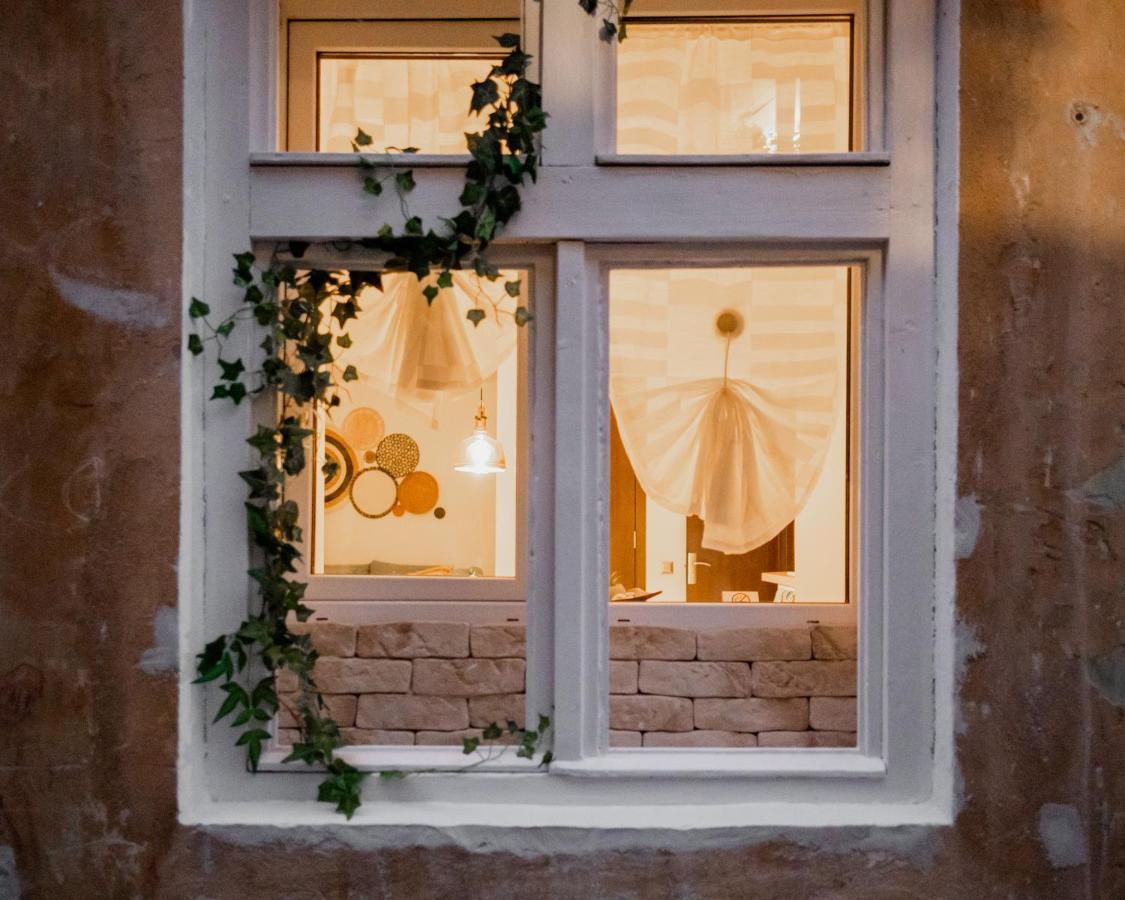 Cozee Studio - In Inima Brasovului Buitenkant foto