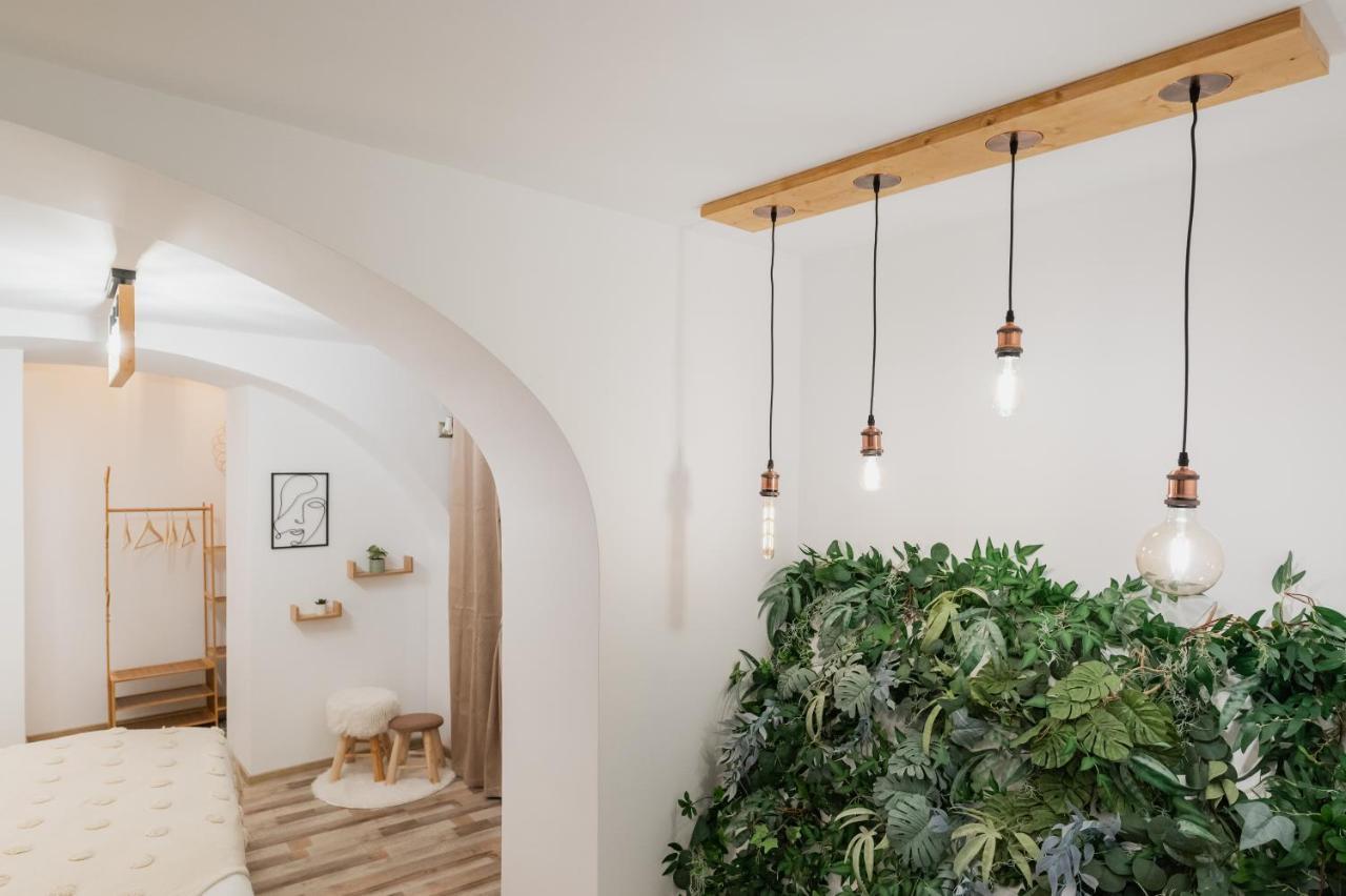 Cozee Studio - In Inima Brasovului Buitenkant foto